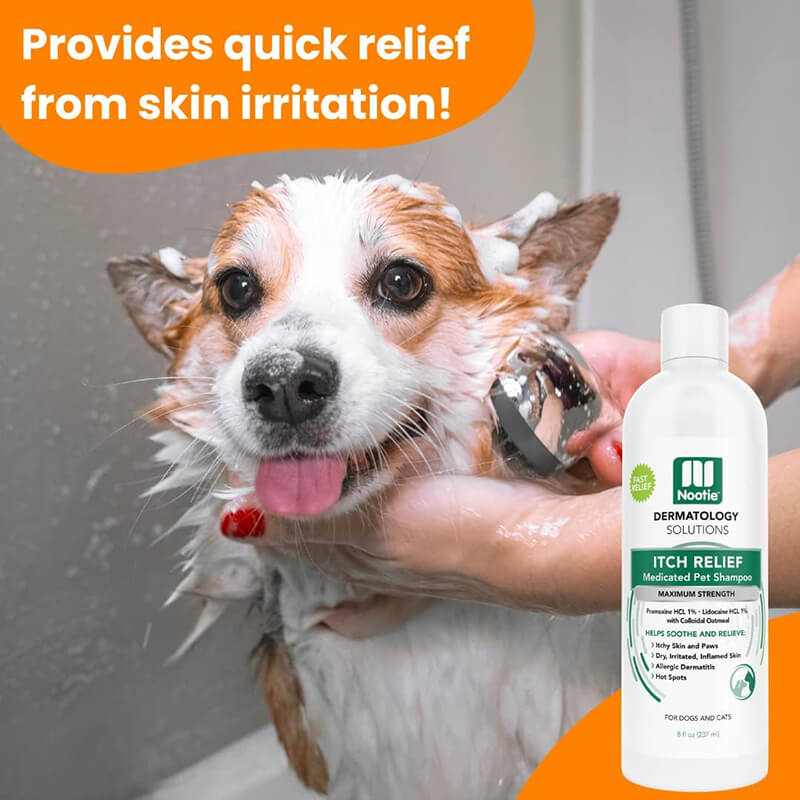 Nootie Anti-Itch Medicated Shampoo 8 oz