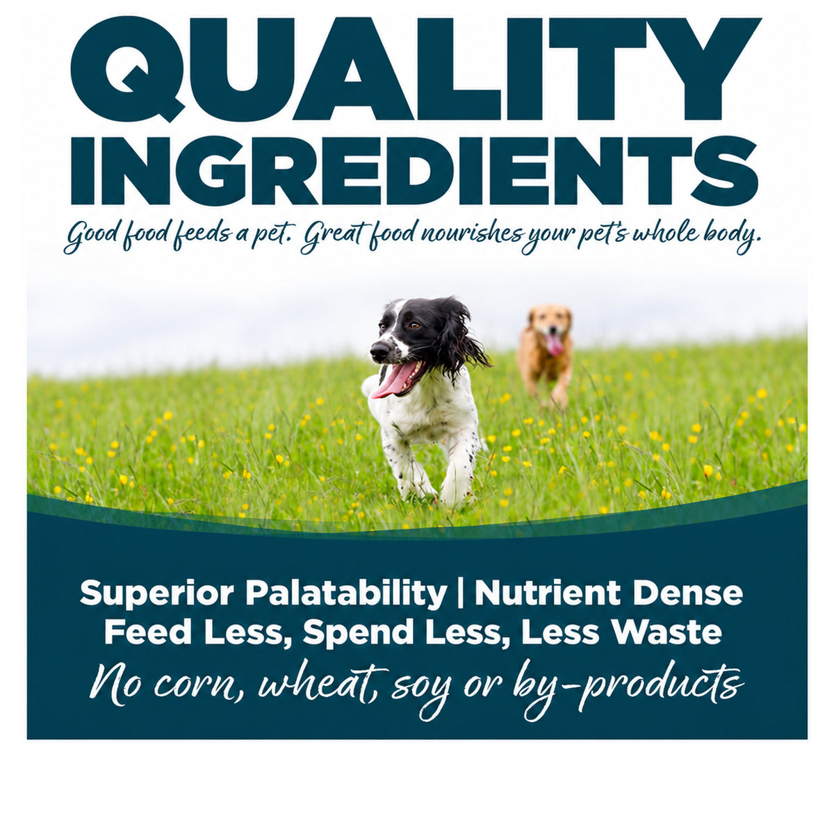 NutriSource Adult Chicken & Rice Small Bites