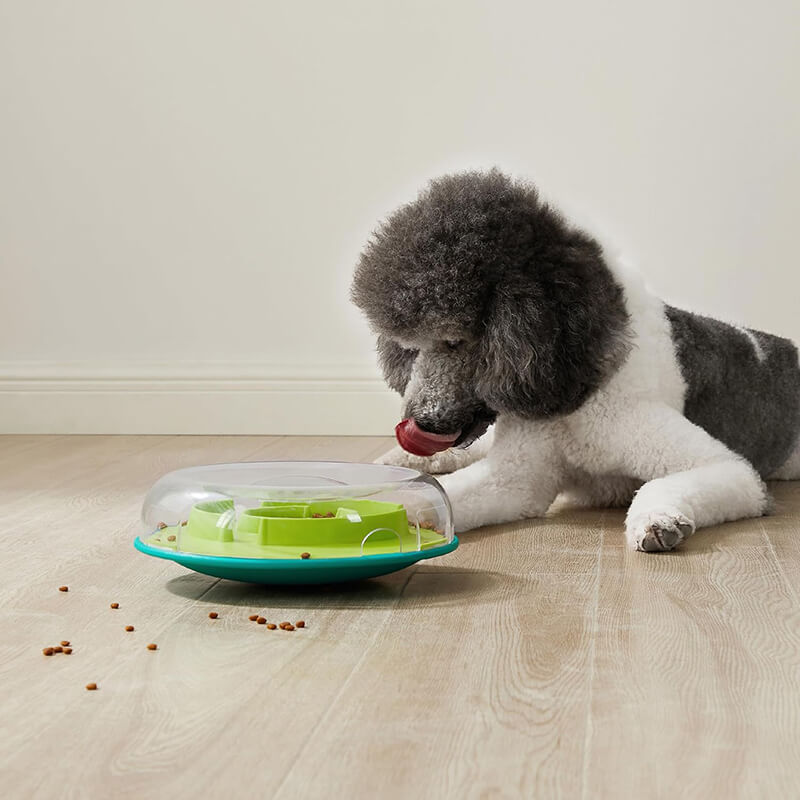 Outward Hound Nina Ottosson Wobble Bowl