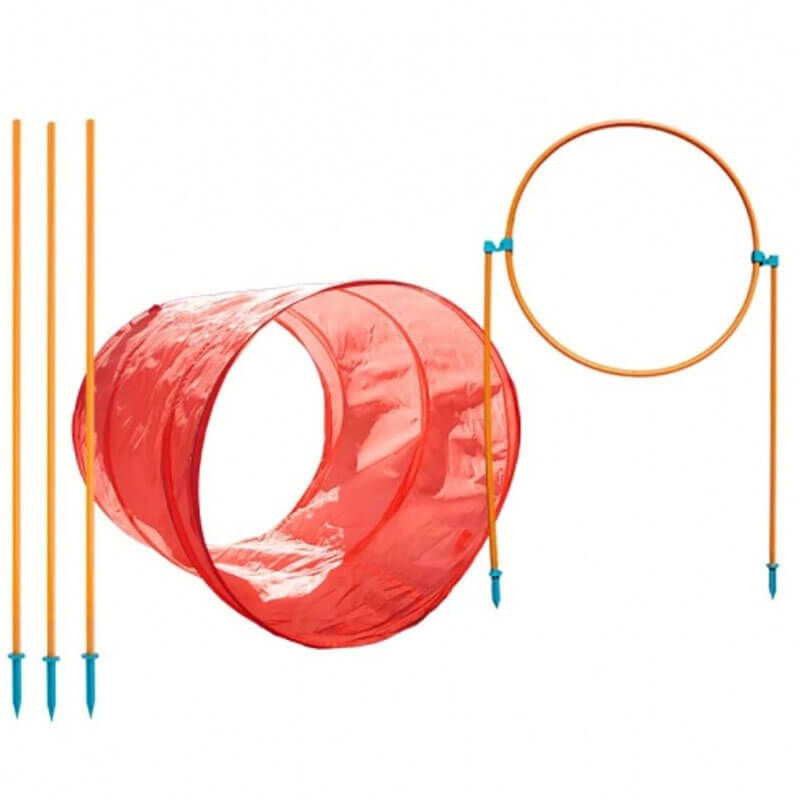Outward Hound Zip and Zoom Agility Kit