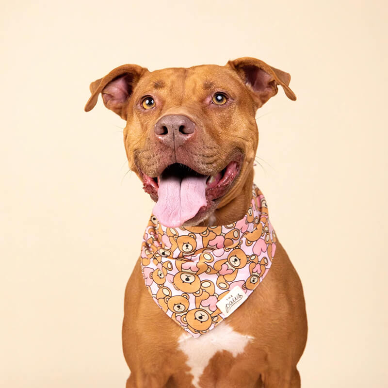 The Paws Bandana - Fluff