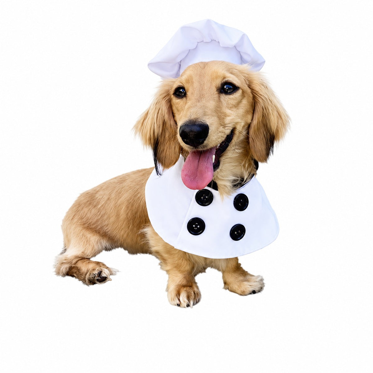 Pet Krewe Chef Uniform Costume for Pets