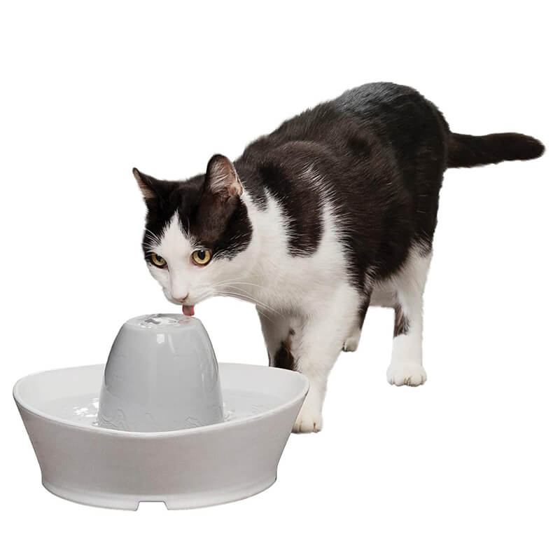 PetSafe Creekside Ceramic Fountain