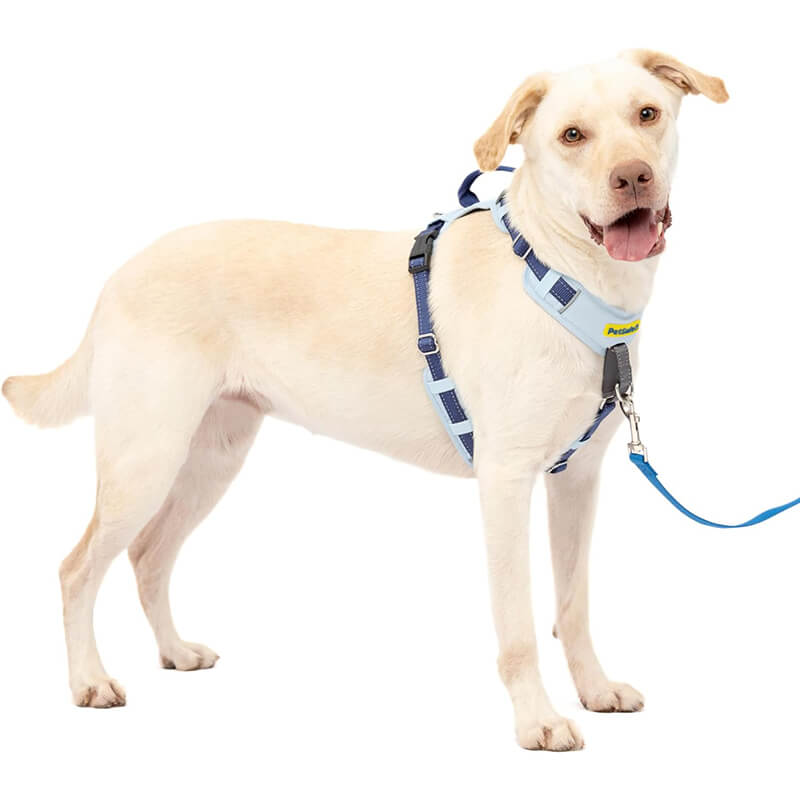 Petsafe Easy Comfort No-Pull Harness