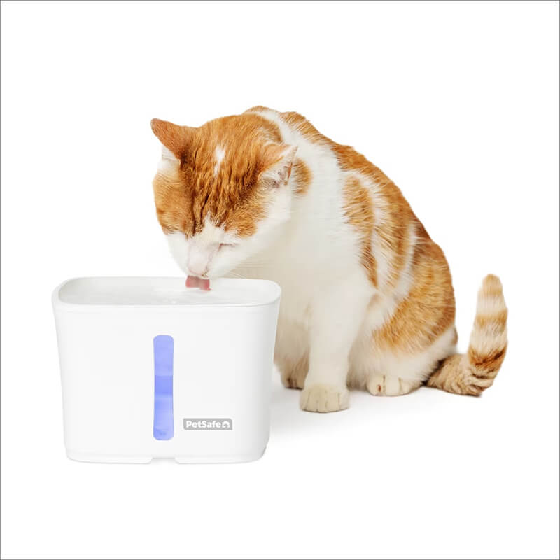 Petsafe Viva Fountain