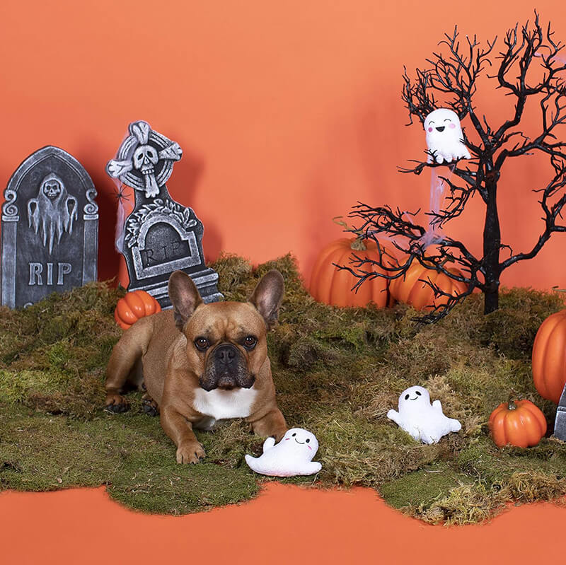 PetShop by Fringe Hey Boo 3Pc Toy Set