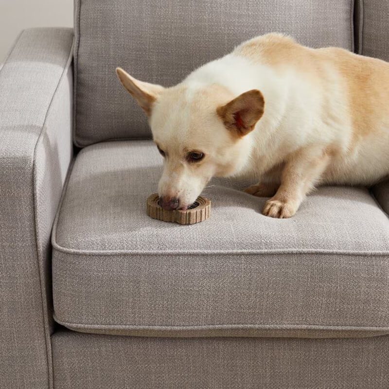 Petstages Dogwood Ring