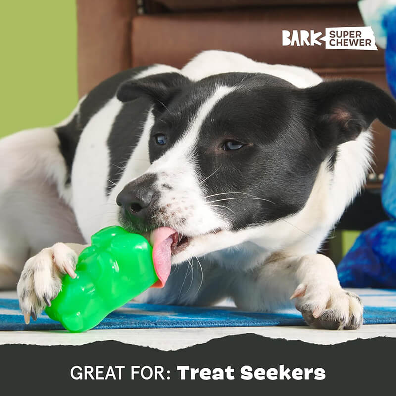 BARK Super Chewer Munchie The Bear