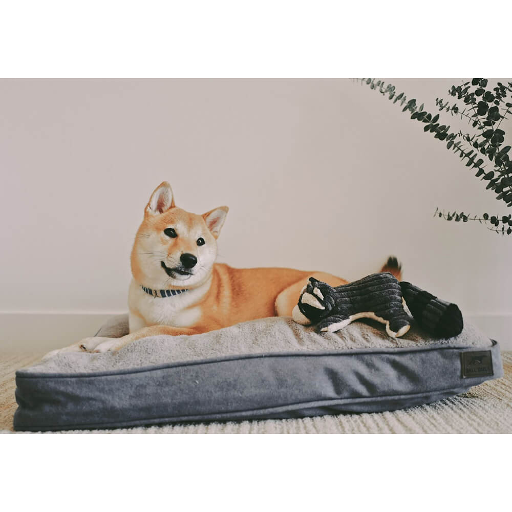 Tall Tails Dream Chaser Cushion Bed