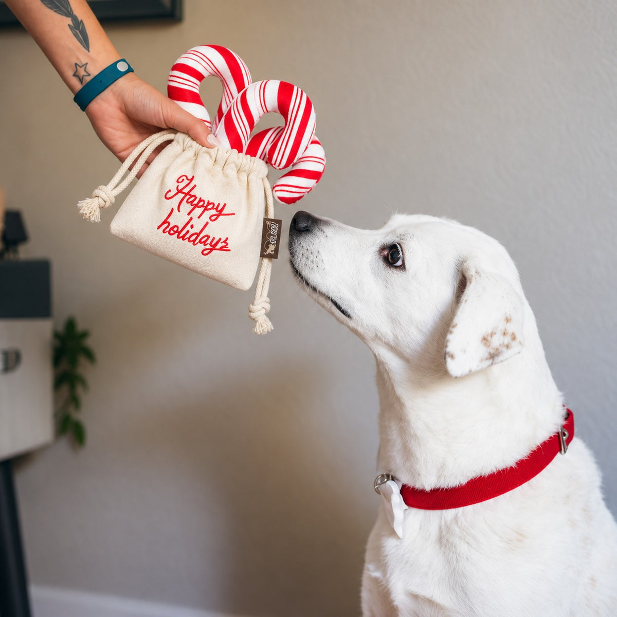 P.L.A.Y. Holiday Classic Candy Canes