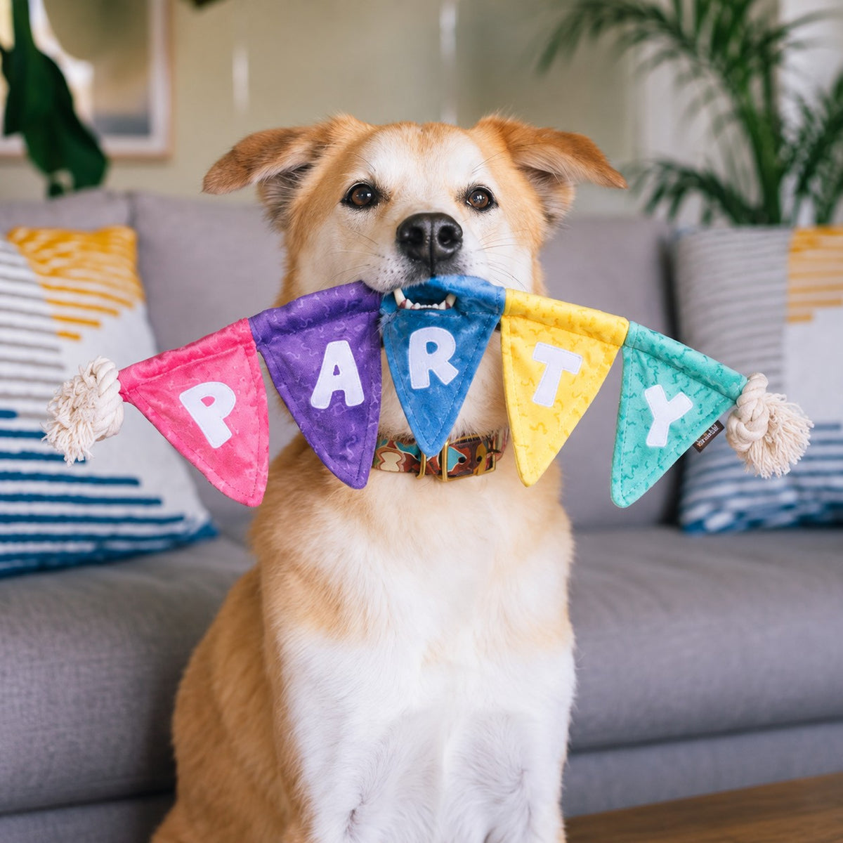 P.L.A.Y. Party Animal Tug n’ Party Banner