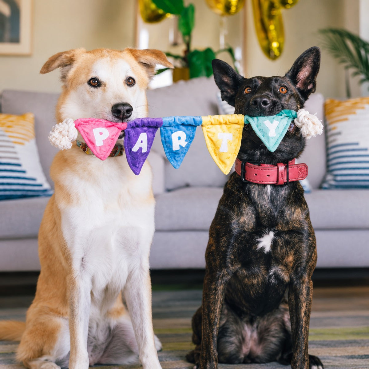 P.L.A.Y. Party Animal Tug n’ Party Banner