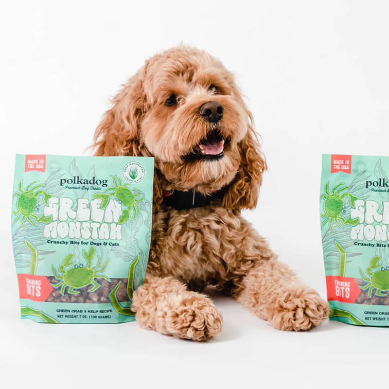 Polka Dog Green Monstah Bits