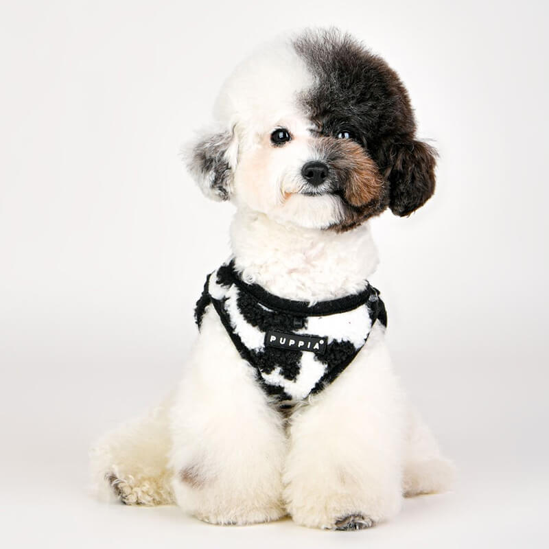 Puppia Serval Harness B