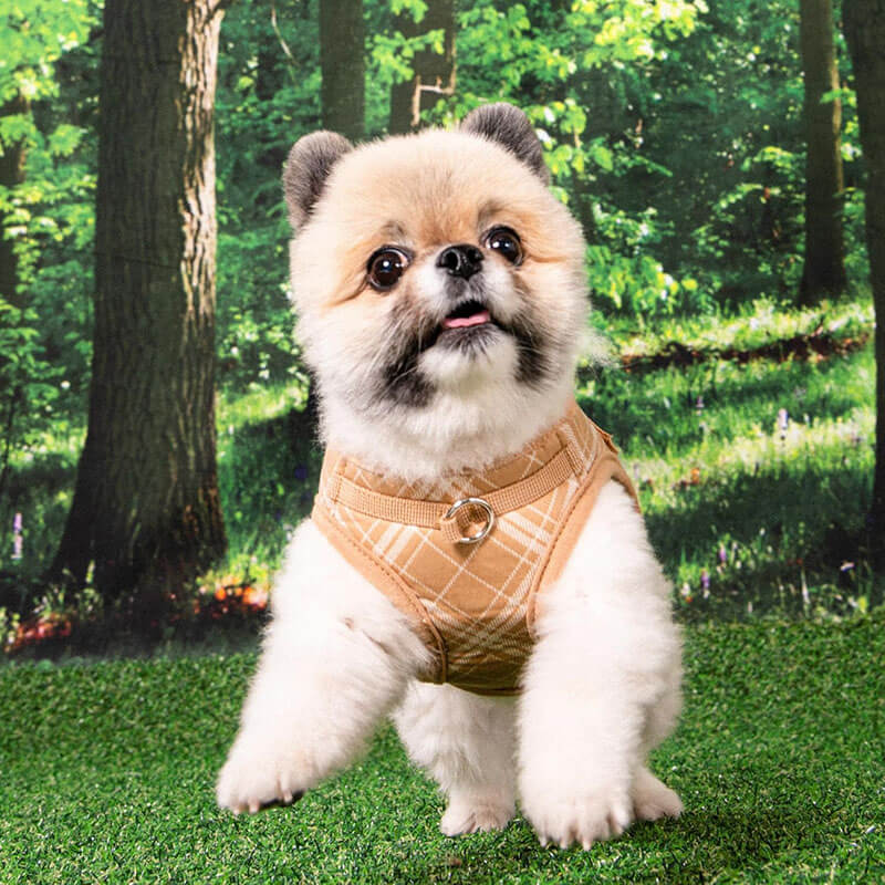 Puppia Step-In Vest Harness Corwin Checkered