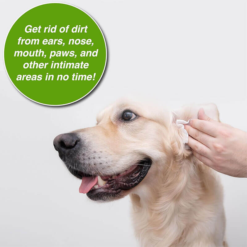 Pure and Natural Pet Unscented Grooming Wipes