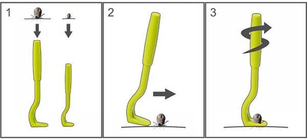 Smartick Tick Removal Tool
