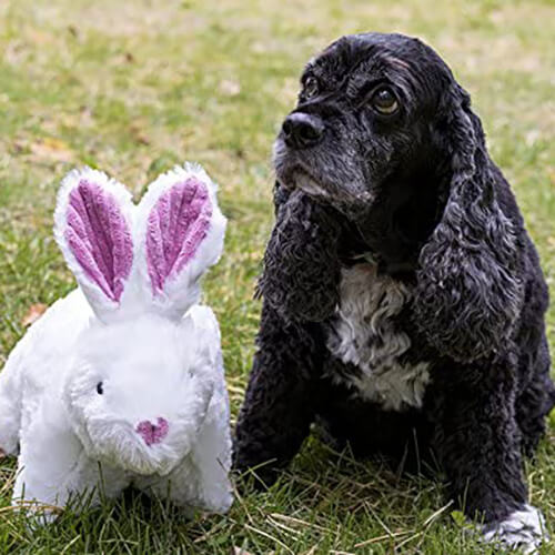 HuggleHounds Squooshie Bunny