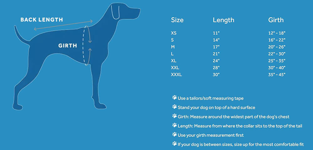 RC Pets Packable Poncho Blue Plaid