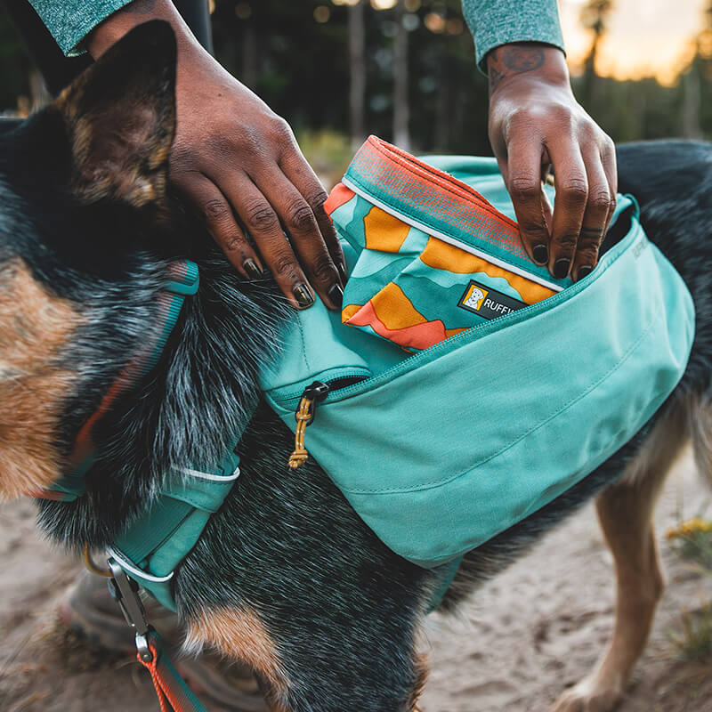 Ruffwear Front Range Day Pack