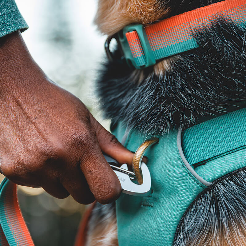 Ruffwear Front Range Day Pack