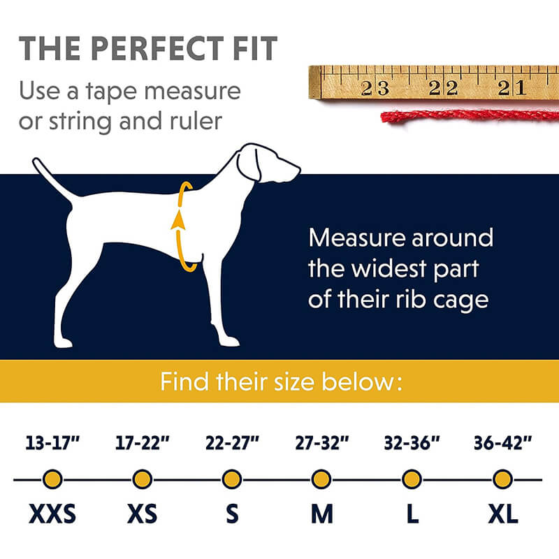 Ruffwear Quinzee™ Dog Jacket