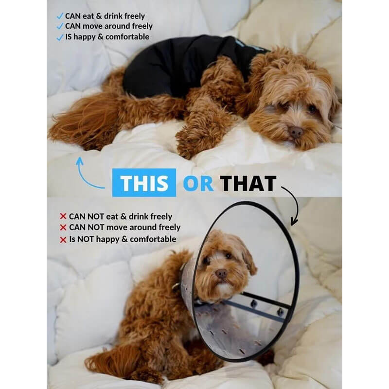 Shed Defender Post Surgery Recovery Suit