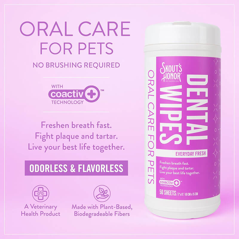 Skout's Honor Everyday Fresh Dental Wipes