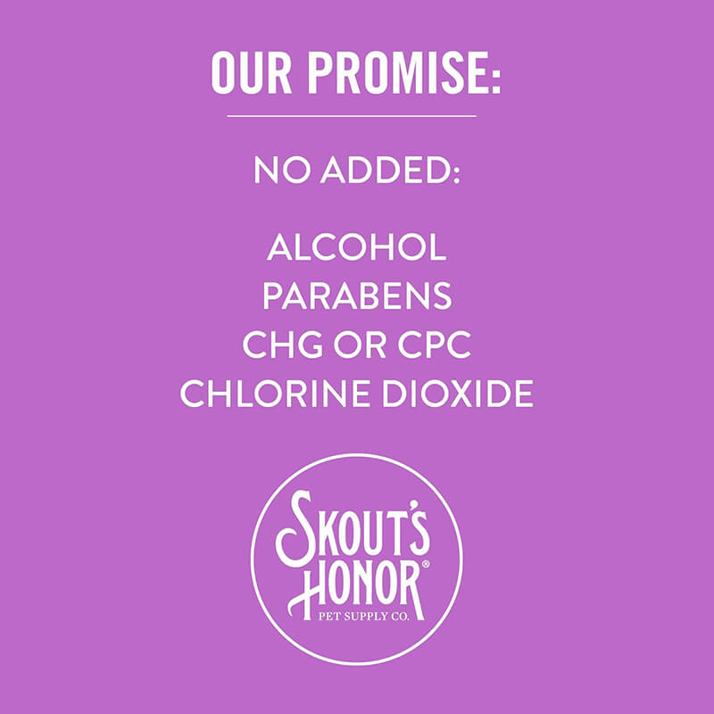 Skout's Honor Everyday Fresh Dental Wipes