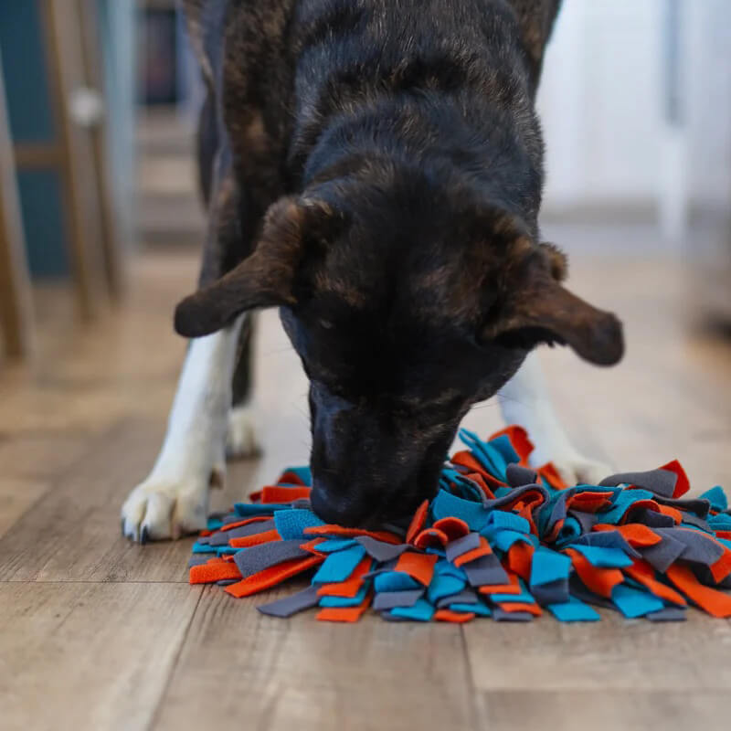 Messy Mutts Forage Mat Round 15"