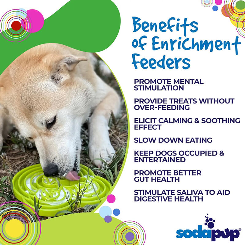 Sodapup Frog Design Enrichment Tray