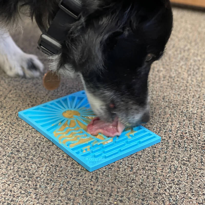 Sodapup Lick Mat Surfs Up