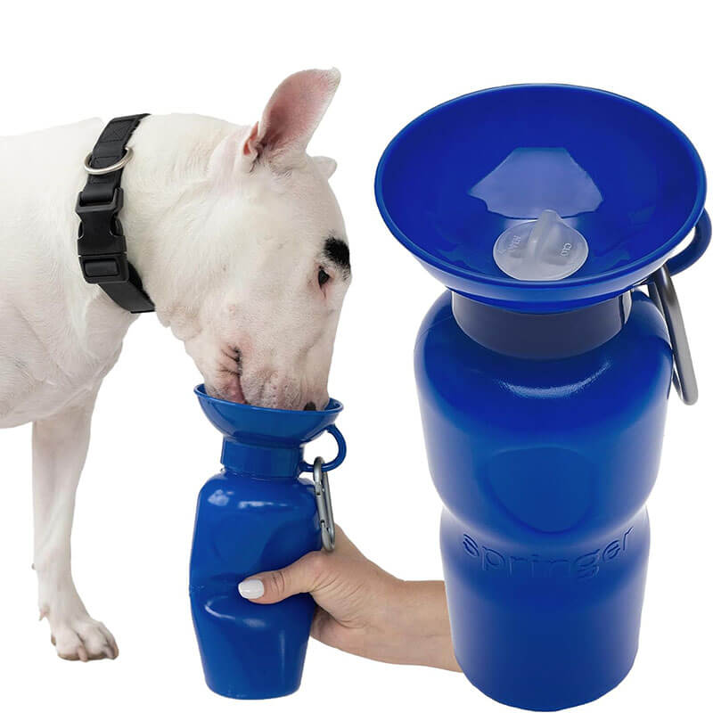 Springer Classic Dog Water Travel Bottle