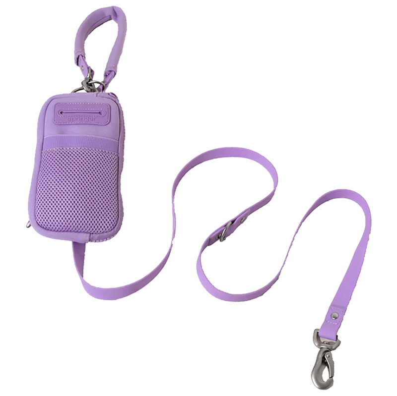 Springer Walk Bag + Leash