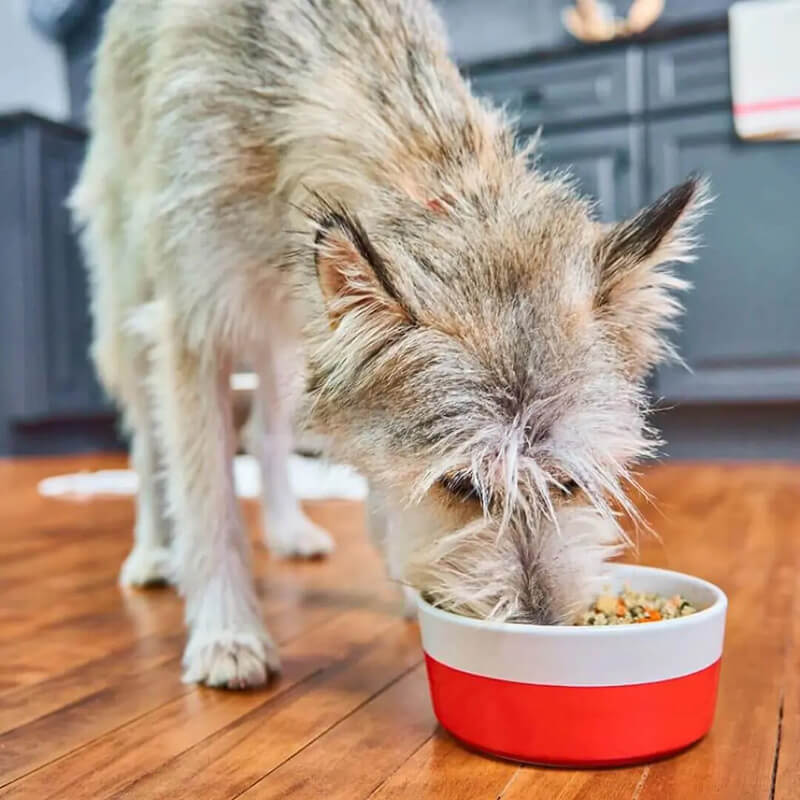 Stella & Chewy's FreshMade Gobblin' Good