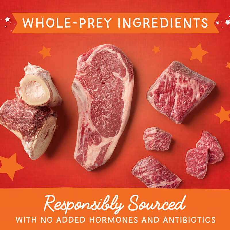 Stella & Chewy's Magical Dinner Dust Beef