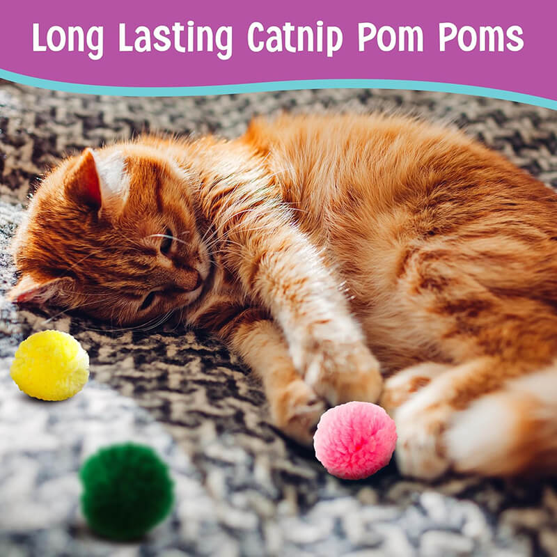 Spot Wool Catnip Pom Poms 4-Pack
