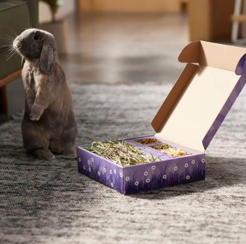 Sweet Meadow Farm Bunny Bento Box with Chamomile & Banana
