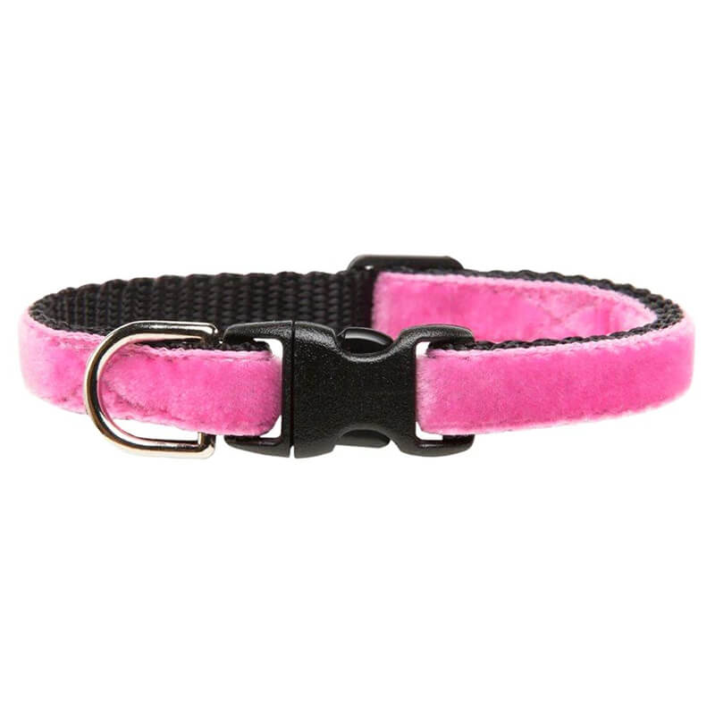 Sweet Pickles Designs Cat Collar The Ringleader