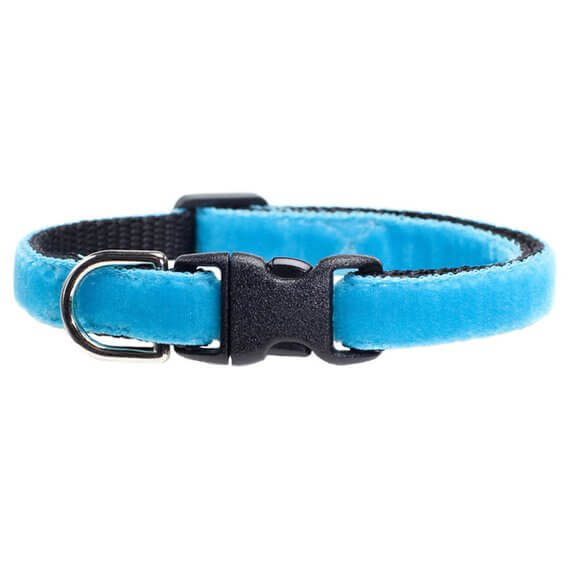 Sweet Pickles Designs Cat Collar - The Sky's The Limit