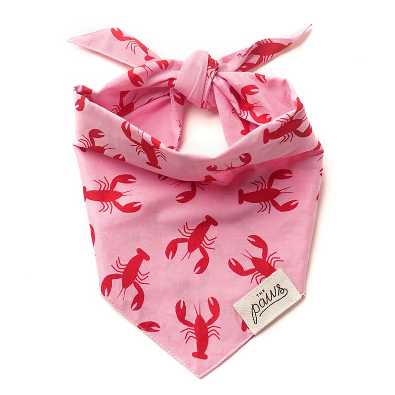 The Paws Bandana - Frye Island