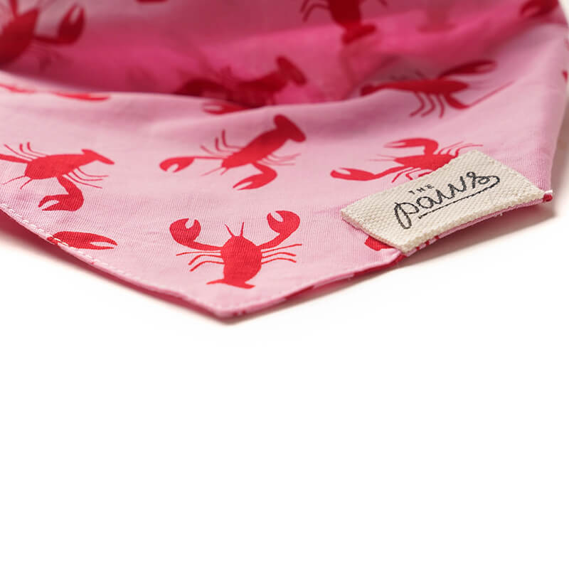 The Paws Bandana - Frye Island