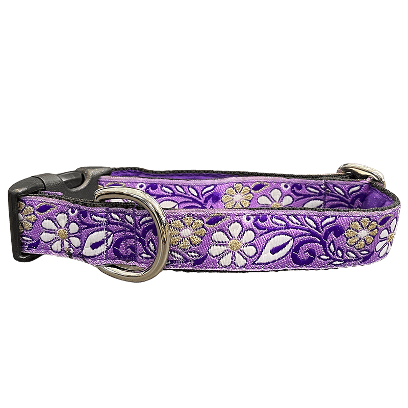 Mackenzie Collar Holladaze Purple