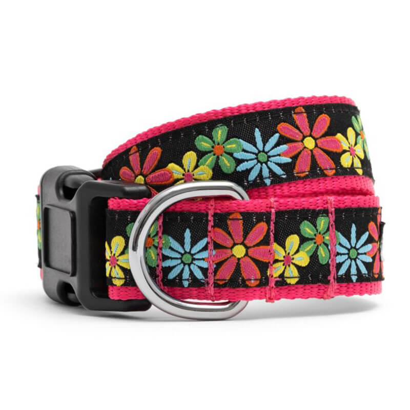 The Worthy Dog Collar Blossoms