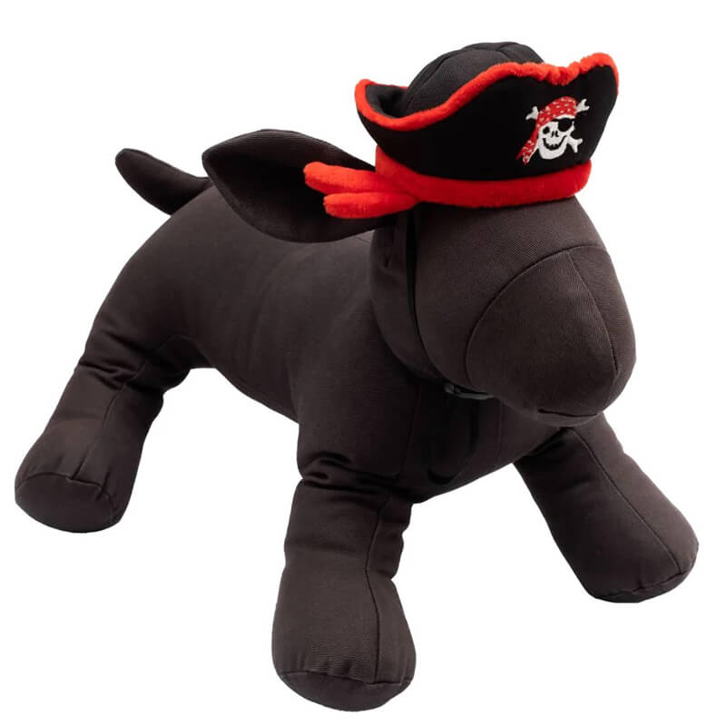 The Worthy Dog Pirate Party Hat