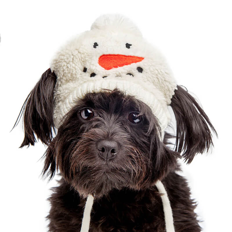 The Worthy Dog Snowman Hat