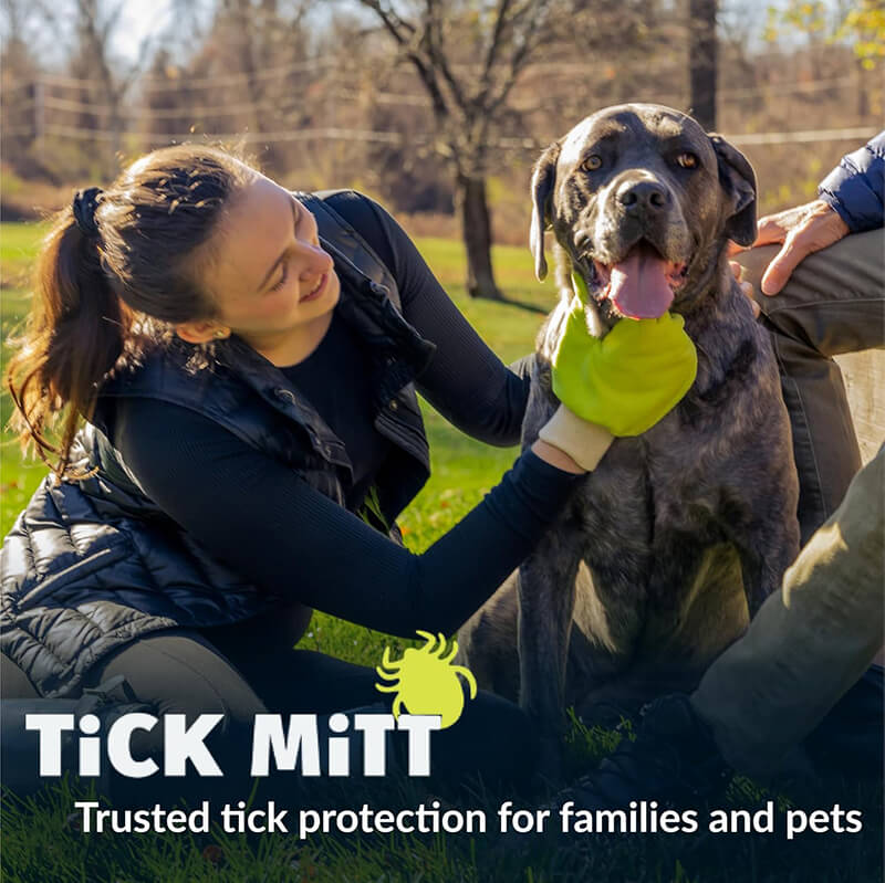 Tick Mitt