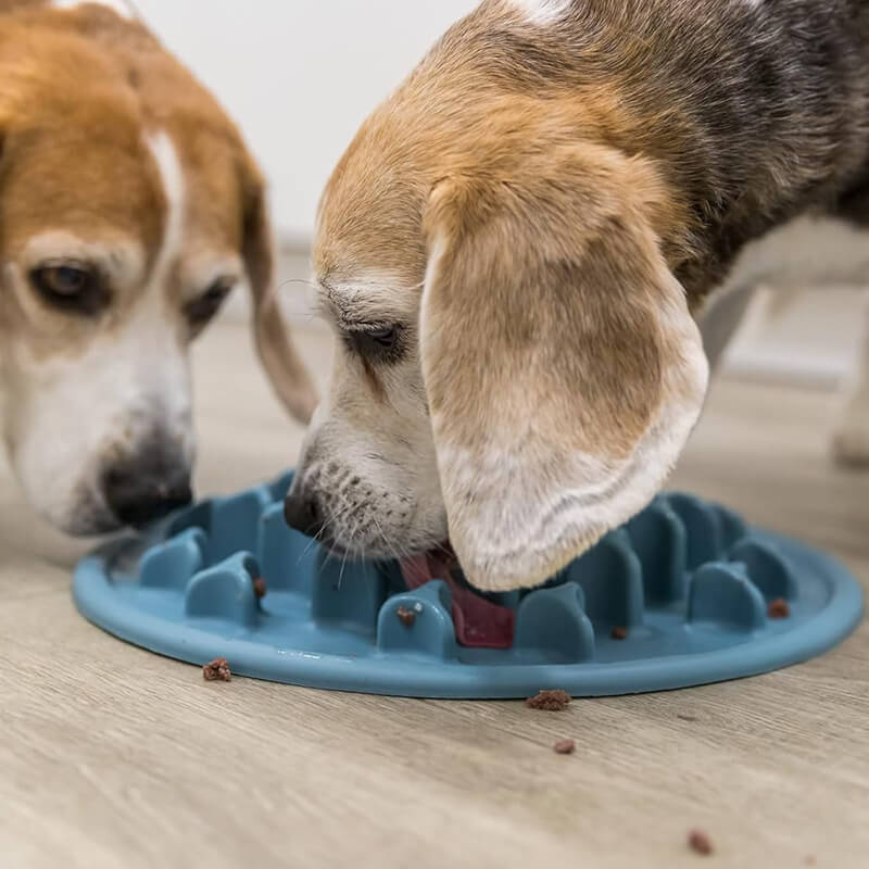 Trixie Slow Feeding Pillars Mat