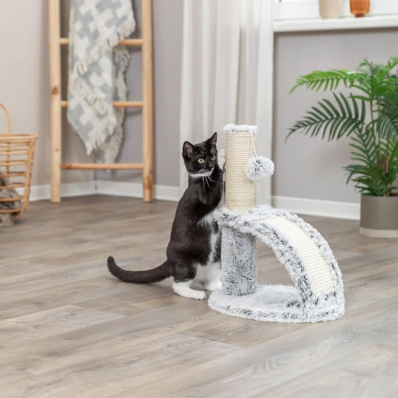 Trixie Winnie Scratching Post With Massage Brush