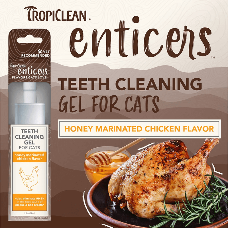 Tropiclean Cat Enticers Teeth Cleaning Gel Chicken 2 oz